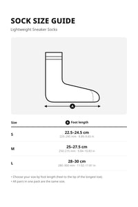 Unisex Lightweight Sneaker Socks – 10-Pair Pack – size guide